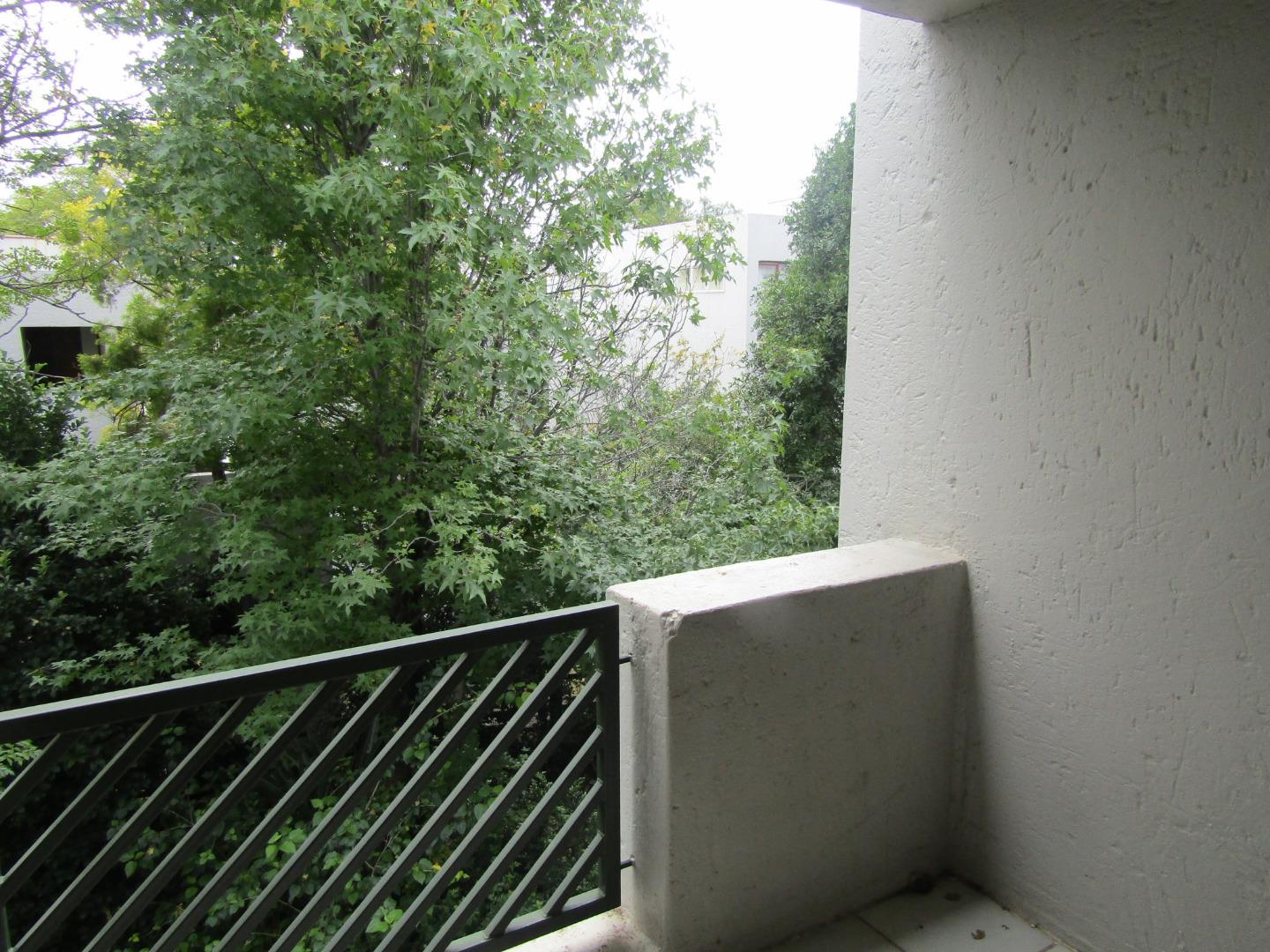 567060_IMG_2136.JPG