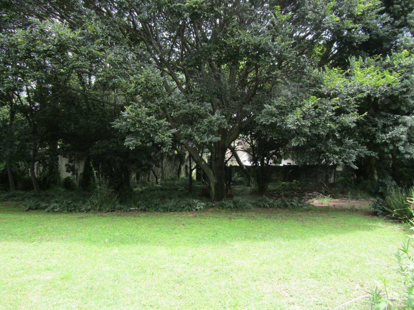 607898_IMG_1946.JPG